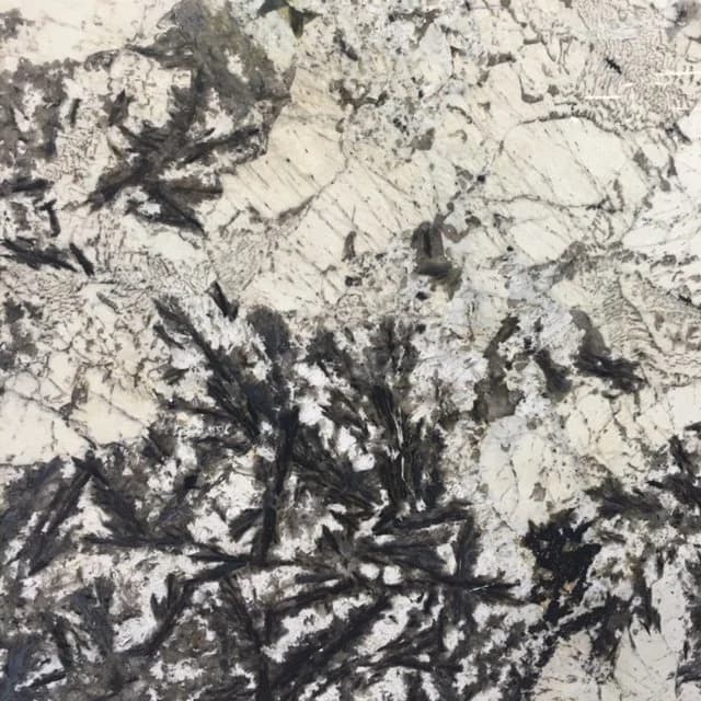 delicatus white granite 1